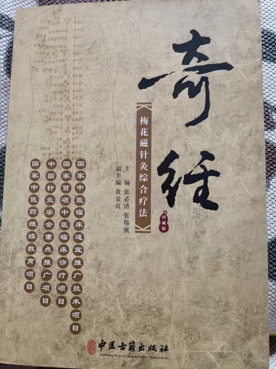 《奇经——梅花磁针灸综合疗法》书影